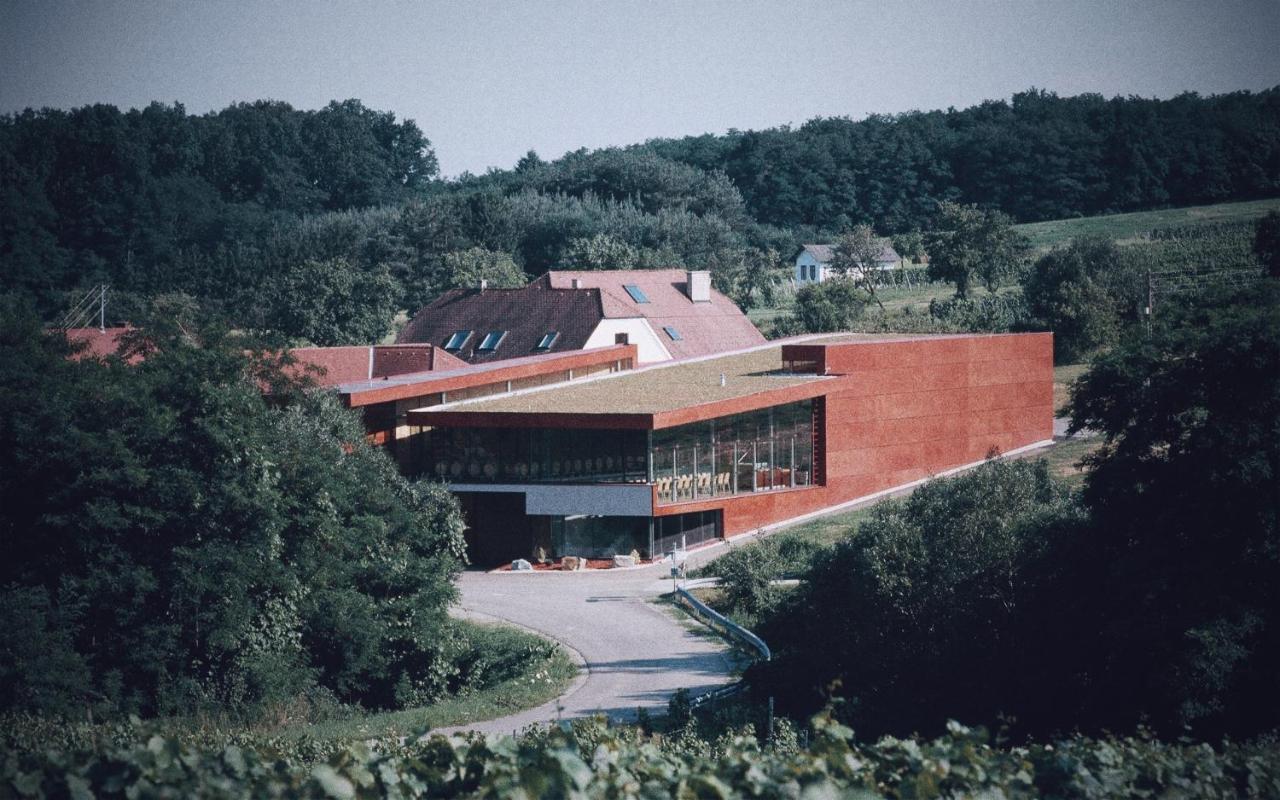 Blaufränkisch, Bed&Breakfast am Weingut Schützenhof Deutsch Schuetzen-Eisenberg Exterior foto